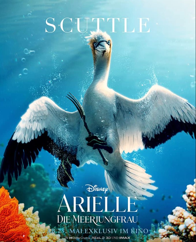 Scuttle - Filmplakat Arielle, Die Meerjungfrau 2023