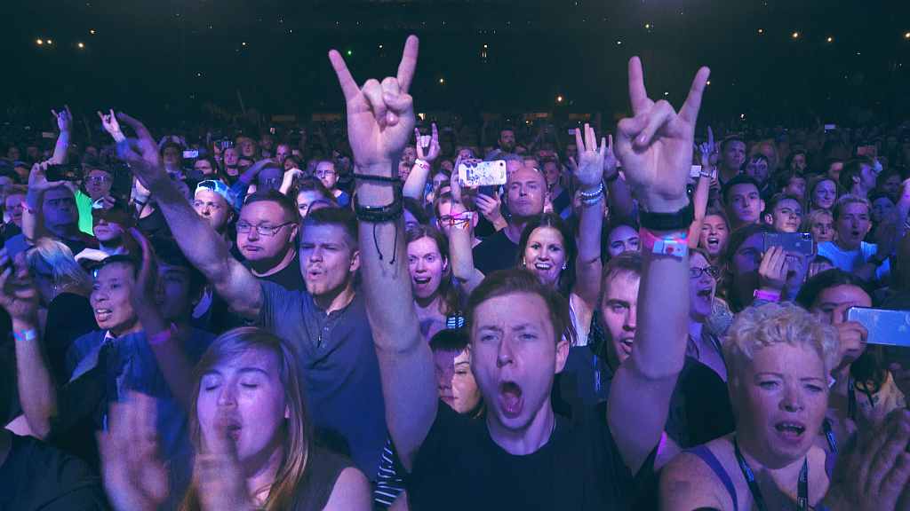 Fans bei einem Nickelback Live Konzert