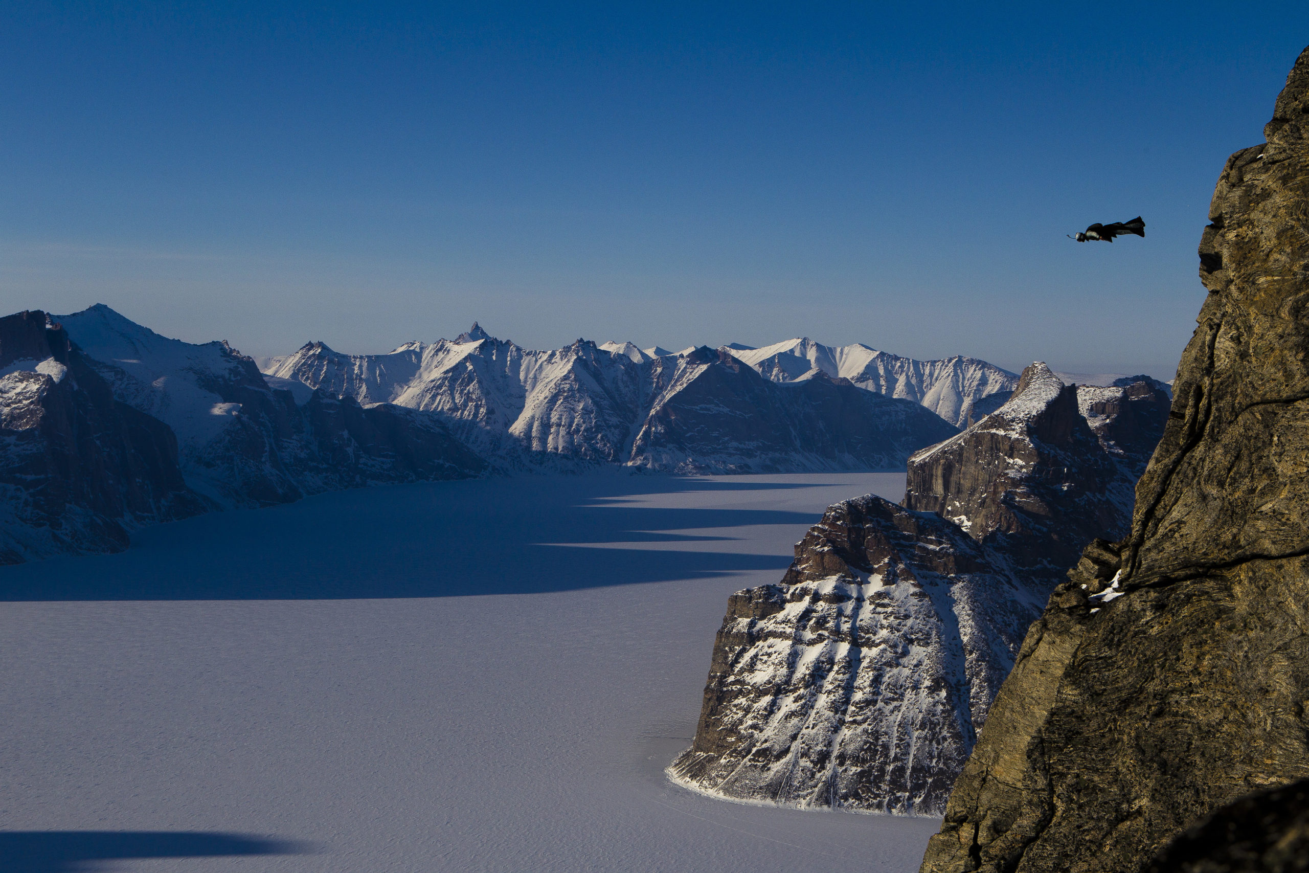 Mit Blick auf den Sam Ford Fjord springt Jim Mitchell in seinem Wingsuit vom Ottawa Peak auf Baffin Island, Kanada