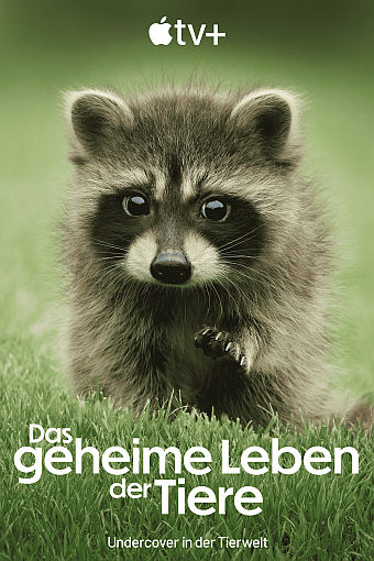 Das geheime Leben der Tiere Plakat