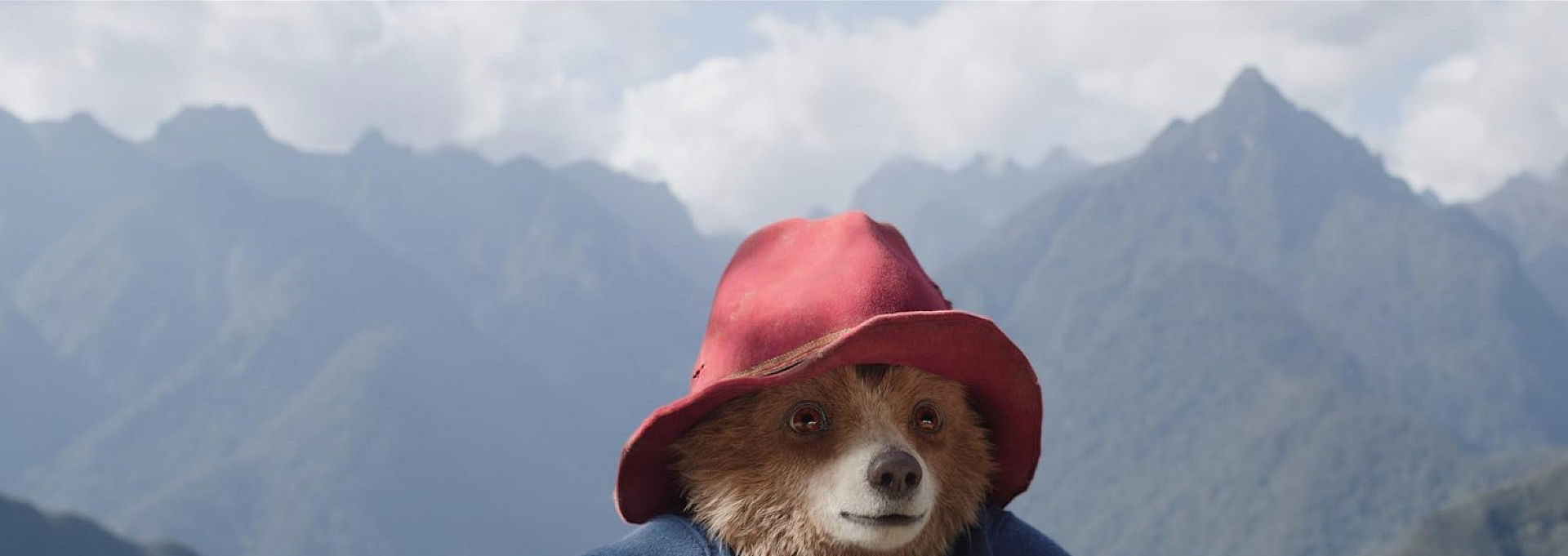 Paddington in Peru