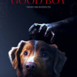 Good Boy