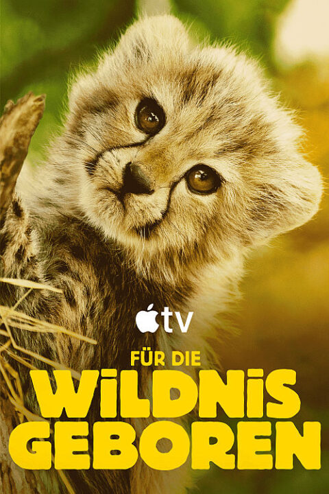 FÜR DIE WILDNIS GEBOREN