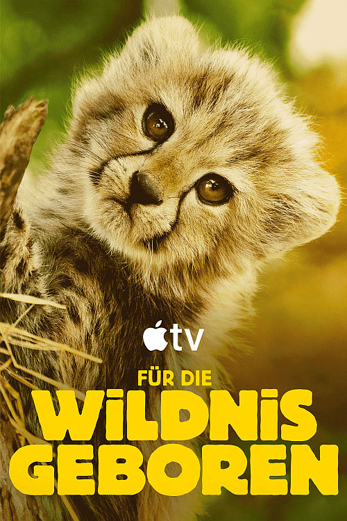 FÜR DIE WILDNIS GEBOREN