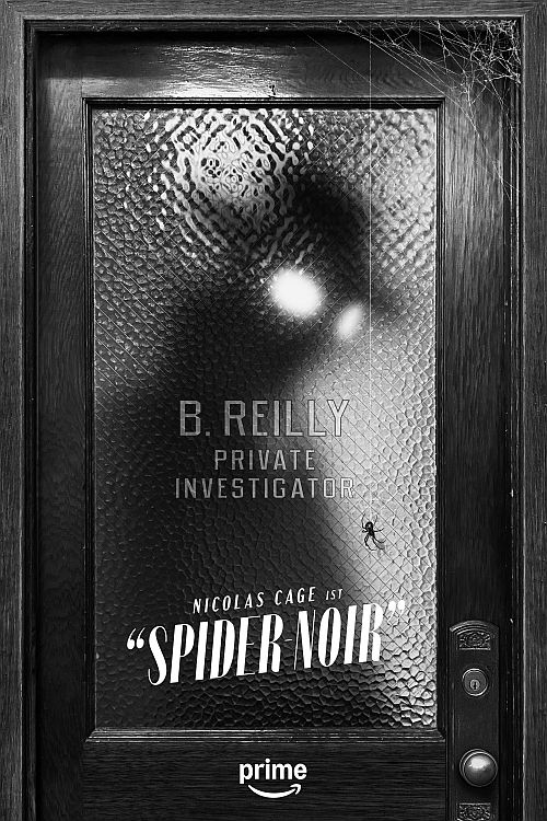 SPIDER NOIR
