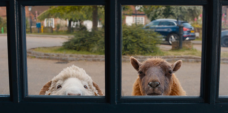 GLENNKILL -EIN SCHAFTSKRIMI