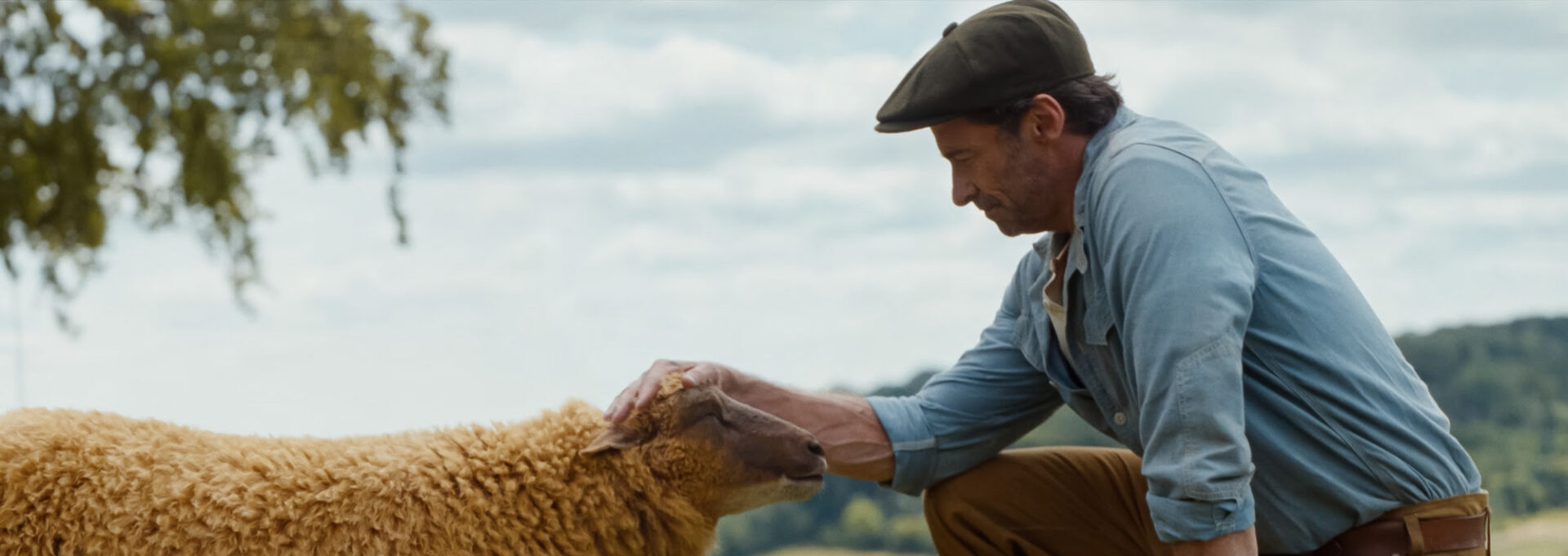 Hugh Jackman in Glennkill-Ein Schafskrimi