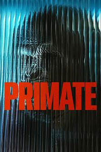 PRIMATE