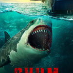 CHUM